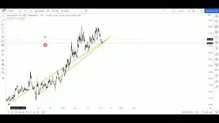 Technical Analysis of Rice Futures