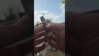 Romeo y Julieta Petit Royales...