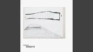 Chasing Rabbits (O/Y Remix)
