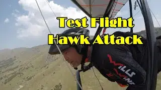 Test Flight/ Hawk Attack