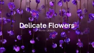 Delicate Flowers  - Wonder Lab Music