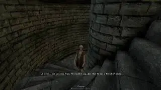 Skyrim courier stops at nothing to deliver his letters