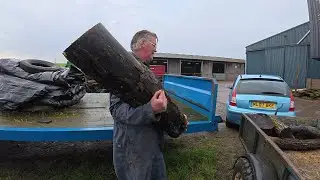 Wood and Hay