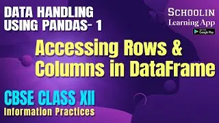 Accessing Rows and Columns in Datafram Pandas Python  | Information Practices Complete Course