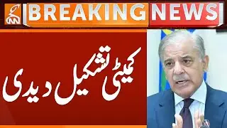 PM Shehbaz Sharif Formed Committee | Breaking News | GNN