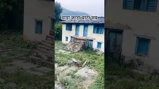 Dubi jala ghar baar dubi jala khet ||phad|| B.k samant || shorts