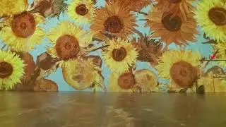 Picasso exhibit