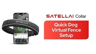 SATELLAI Collar | Virtual Fence Setup That Keeps Your Dog Safe