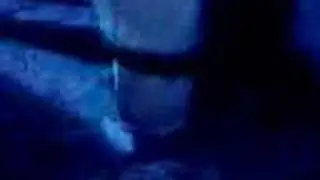 Alzata del giglio a 6 persone