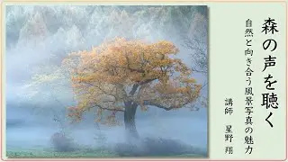 【ノウハウ】星野翔/森の声を聴く – 自然と向き合う風景写真の魅力／富士フイルム