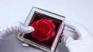 Rotating Jewelry Rose Box With Luxury Heart Necklace