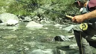 P&ecirc;che &agrave; la mouche : P&ecirc;che en s&egrave;che en torrent de montagne