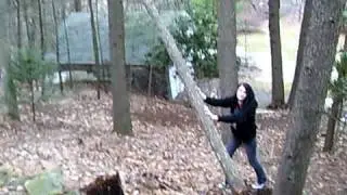 Tree Terminator (for real)