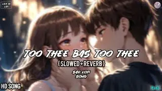 TOO THEE BAS TOO THEE (SLOWED + REVERB) BOLLYWOOD NEW SONG| LOFI SONG |SAD LOFI SONG@Loveorlofi