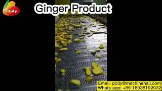 The Production Process Of Ginger Products