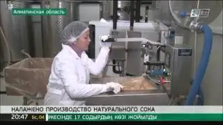 В РК налажено производство натурального сока с длительным сроком хранения