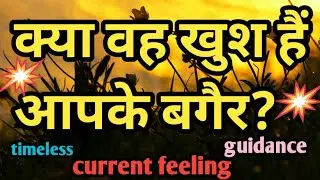 current feeling hindi,आपके पार्टनर की वर्तमान भावनाएं,next action@tarot#collective,timeless❤️❤️love