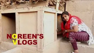Noreen's Hen Coop: Spring Cleaning Tips - Noreen's Village Life - میری آخری ویڈیو
