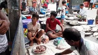Barmya Rue Fish Cutting Skills