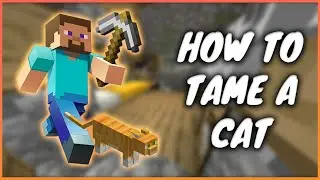 How To Tame A Cat In Minecraft