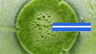 Blender Showdown Ninja vs Vitamix vs Breville