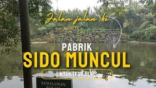 Kerennya Agro Wisata didalam Pabrik Sido Muncul