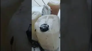 Diesel fuel at -30&deg; #diesel #ridesnownight #frost #fuel #snow