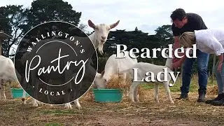 INSPIRING Small Business Story // Bearded Lady Soap