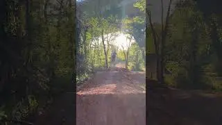 Test riding the new trail work with a dangle #mtb