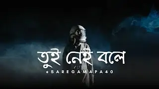 তুই নেই বলে || Tui Nei Bole || New Bengali Song