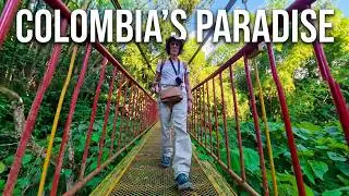 Jardín Botánico Del Quindío, Armenia - Colombia 12/2025