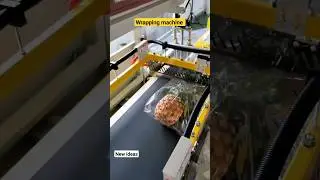wrapping machine for food processing automation #machinedesign #mechanism #automation #machinery