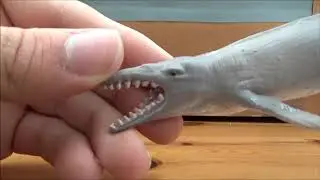 Review 152: CollectA Basilosaurus
