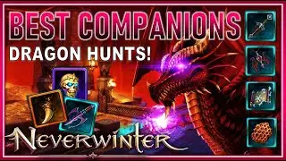 Mod 23 BEST Damage Companions! Testing 20+ Comps Solo in Dragon Hunts (Rogue) - Neverwinter Preview