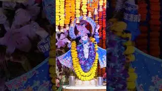 Krishna Message: Patience Is Power 🌸 #ytshorts #premanandjipravachan #radheradhe