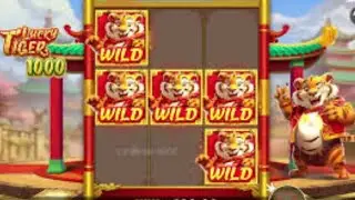 I tried 500 incredible spins on lucky tiger 1000 slot and made huge profit