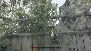 Hunt  Showdown - Paaaaaax Heady, I love it - Part 2