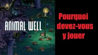 Pourquoi jouer &agrave; ANIMAL WELL?