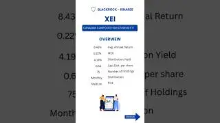 XEI Explained in 40 Seconds