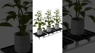 Cannlab Drain master &ndash; H&ouml;henverstellbare Plattform f&uuml;rs Grow-Zelt 🌿