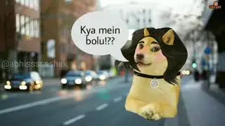 Short video 4 || ROBIN DOGE ||