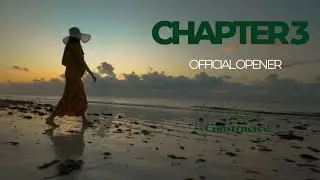 WELLNESS DECONSTRUCTED CHAPTER THREE OFFICIAL OPENER