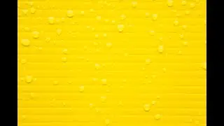 Sudarshan Pigment 101 Wbinar Series - April 2025 - Polycyclic High Performance Organic Pigments