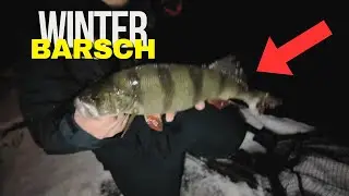 Angeln auf dicke Barsche an (gruseligem) Kanal im Winter #duorealis #angeln #barsch #nedrig #shimano