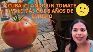 Cuba🇨🇺: Cuando un Tomate🍅 Vale M&aacute;s #cuba #vidaencuba