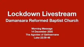 The Agonies of Gethsemane (Luke 22:39-46)