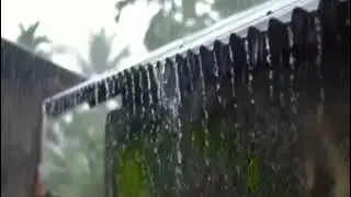 “Listen to the sound of heavy rain to help you focus on studying, sleep well, relax, and meditate.”