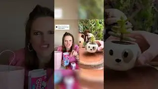 В ответ на сообщение @mow: Какой ракурс мне выбрать дальше? #pov