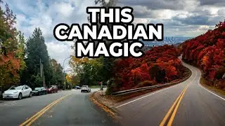 Why Vancouver BC is the Best Place for an Autumn Drive in 2025