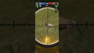 Hunting Sniper Tour 6